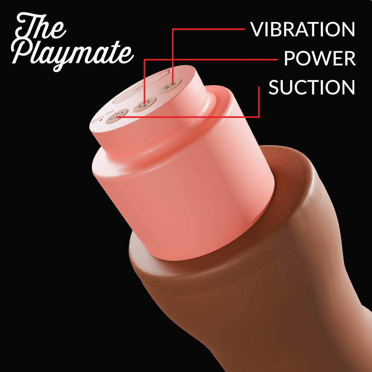 THE PLAYMATE 53X