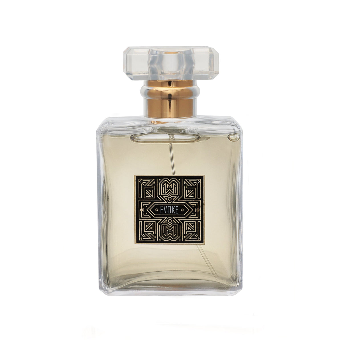 EVOKE FOR HIM PHEROMONE COLOGNE Immense Pleasure Products
